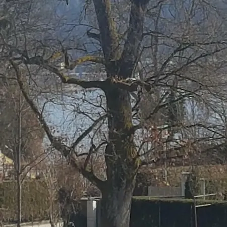 Portschacher Stuberl * Pörtschach am Wörthersee